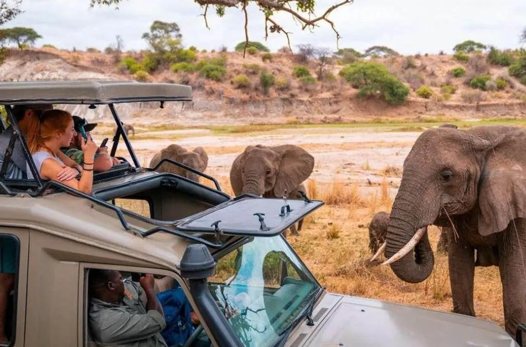 Safari adventure an exciting opportunity to witness wildlife
