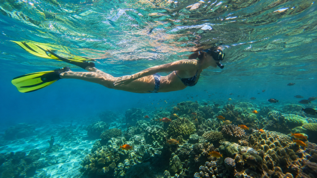 Snorkeler swimming in clear tropical waters during an eco-friendly Costa Rica adventure trip